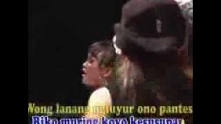 DIAN RATIH RICHARDO BENITO KUCING KUCINGAN