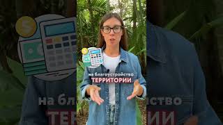 Что такое МСУ в ЕГЭ/ОГЭ по обществу? #егэ #обществознание #егэобществознание #обществознаниеегэ