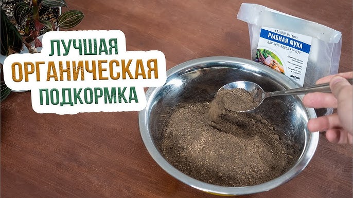 Мясокостная и костная мука — преимущества перед другими видами удобрений