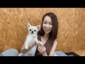 だーしのボートレース♪蒲郡〜!【競艇】