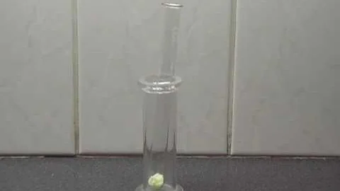 Chemistry experiment 10 Elephants toothpaste 360p