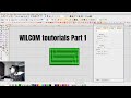 Wilcom clases Learning 1