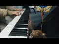 【Harry Potter OST】DIAGON ALLEYをピアノで弾いてみた piano