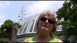 Agave plant at Phipps