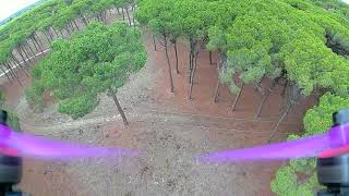 dji fpv1