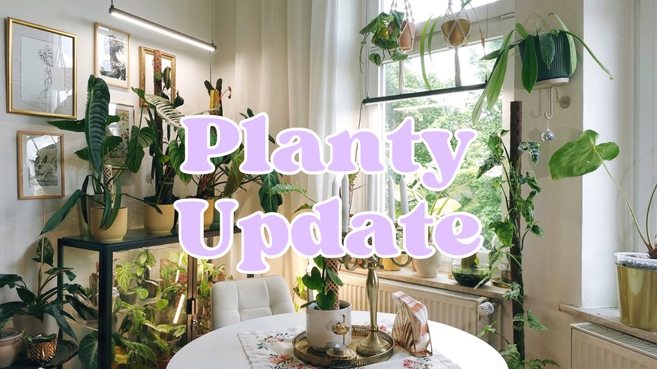 Plantcare, Updates & neue Pflanzen 🪴✨