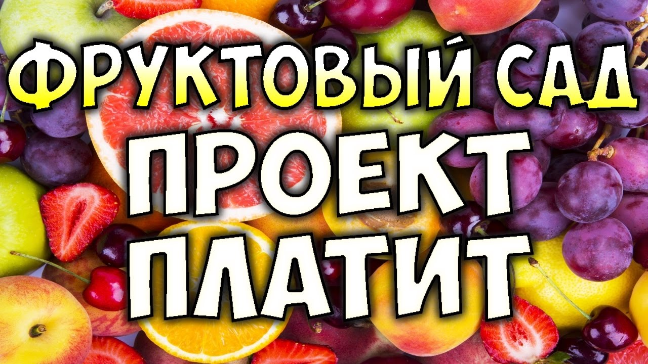 Проект фруктовый