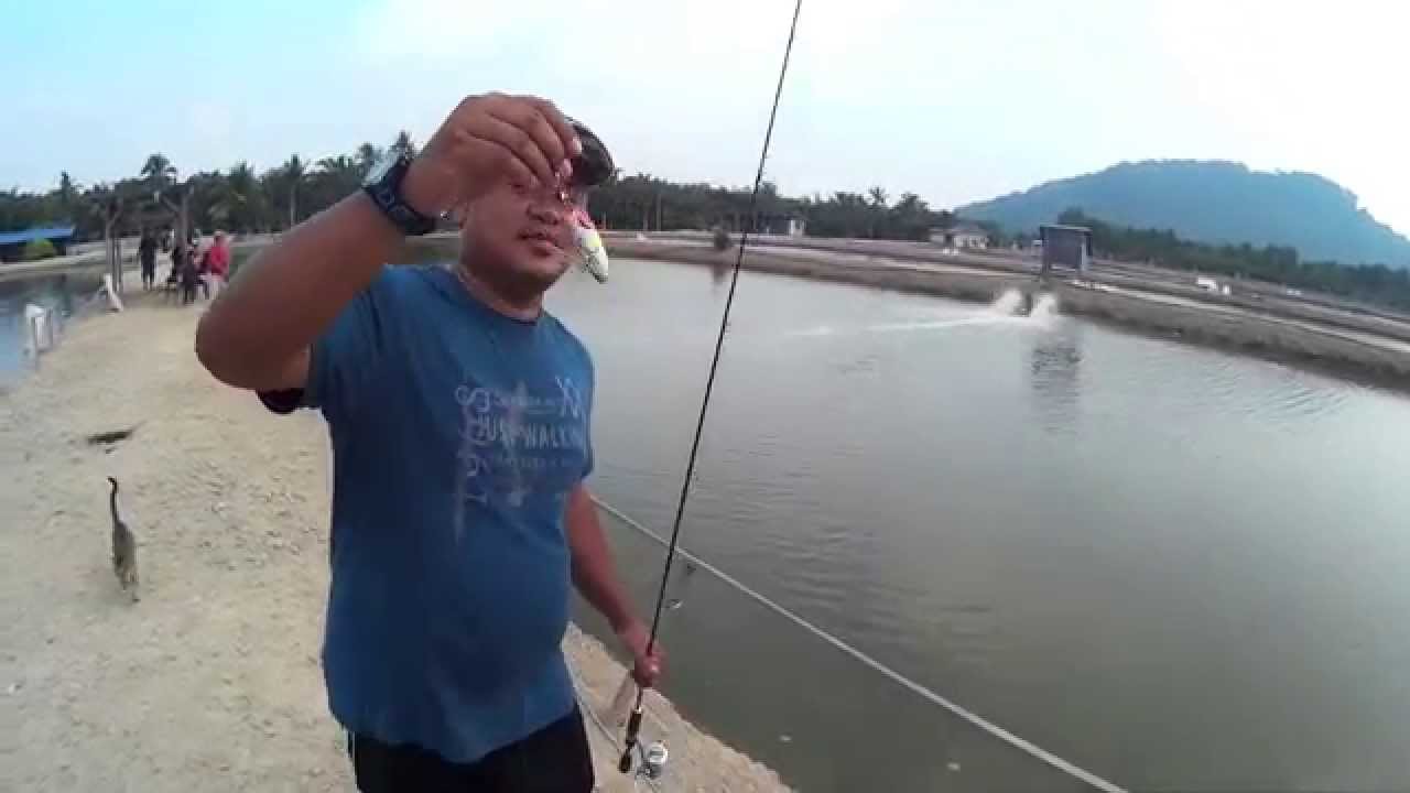 Popper Setup (Rod/Reel/Line)