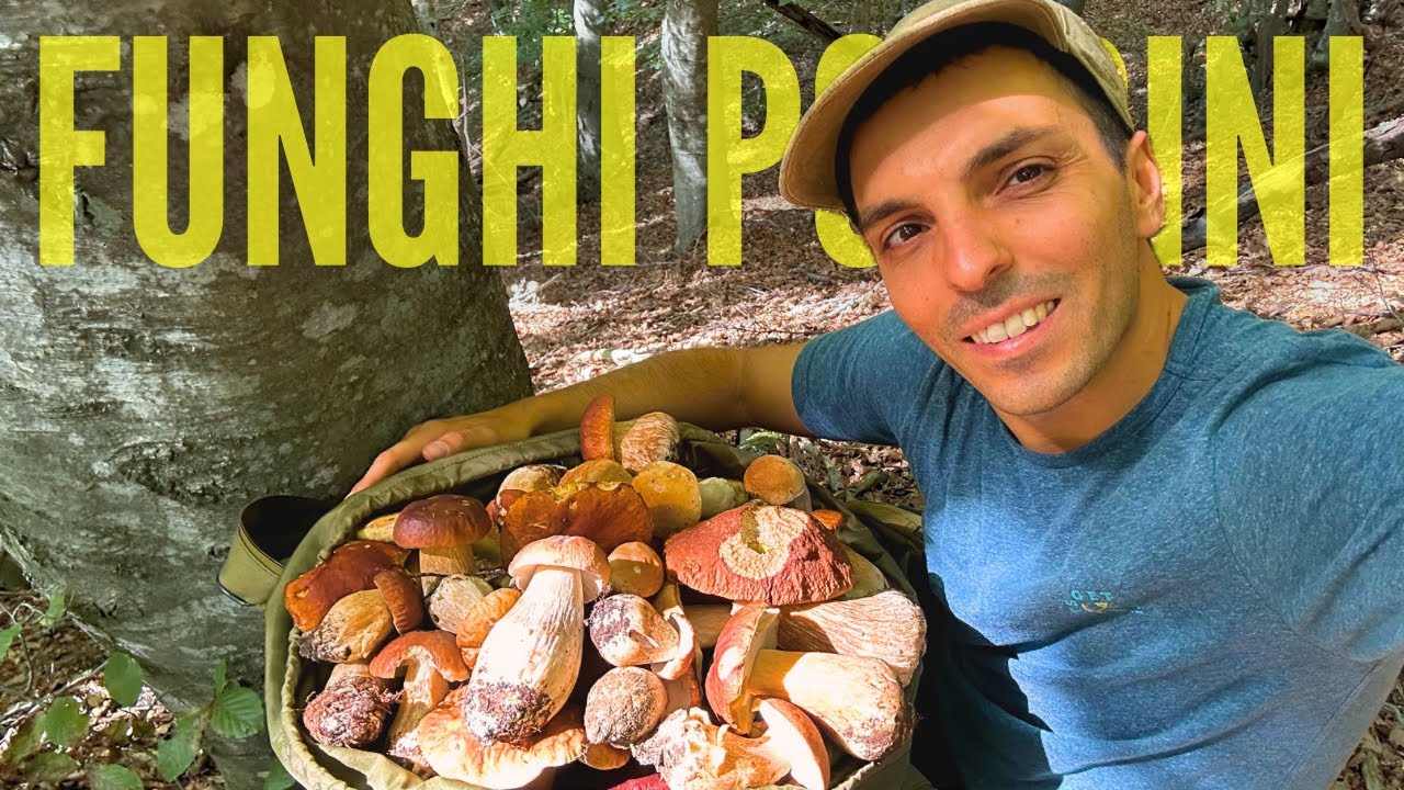 FUNGHI PORCINI - RITORNO AL BOLETUS! Appennino al cardiopalma PT.1  