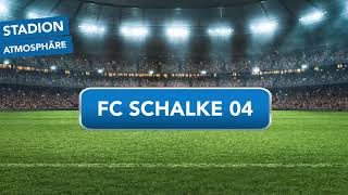 Stadionatmosphäre FC Schalke 04 | 90Min (Echte Fangesänge & Stimmung für Bundesliga Geisterspiele)