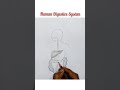 Digestive system #medical #anatomy #mouth#digestivesystem#stomach#digestion