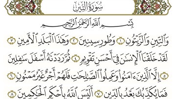 قرآن كريم سورة التين القارئ شيرزاد طاهر