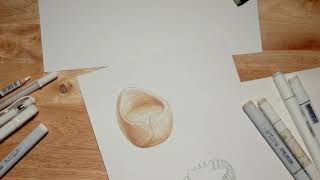 Wooden Chair Rendering with Marker