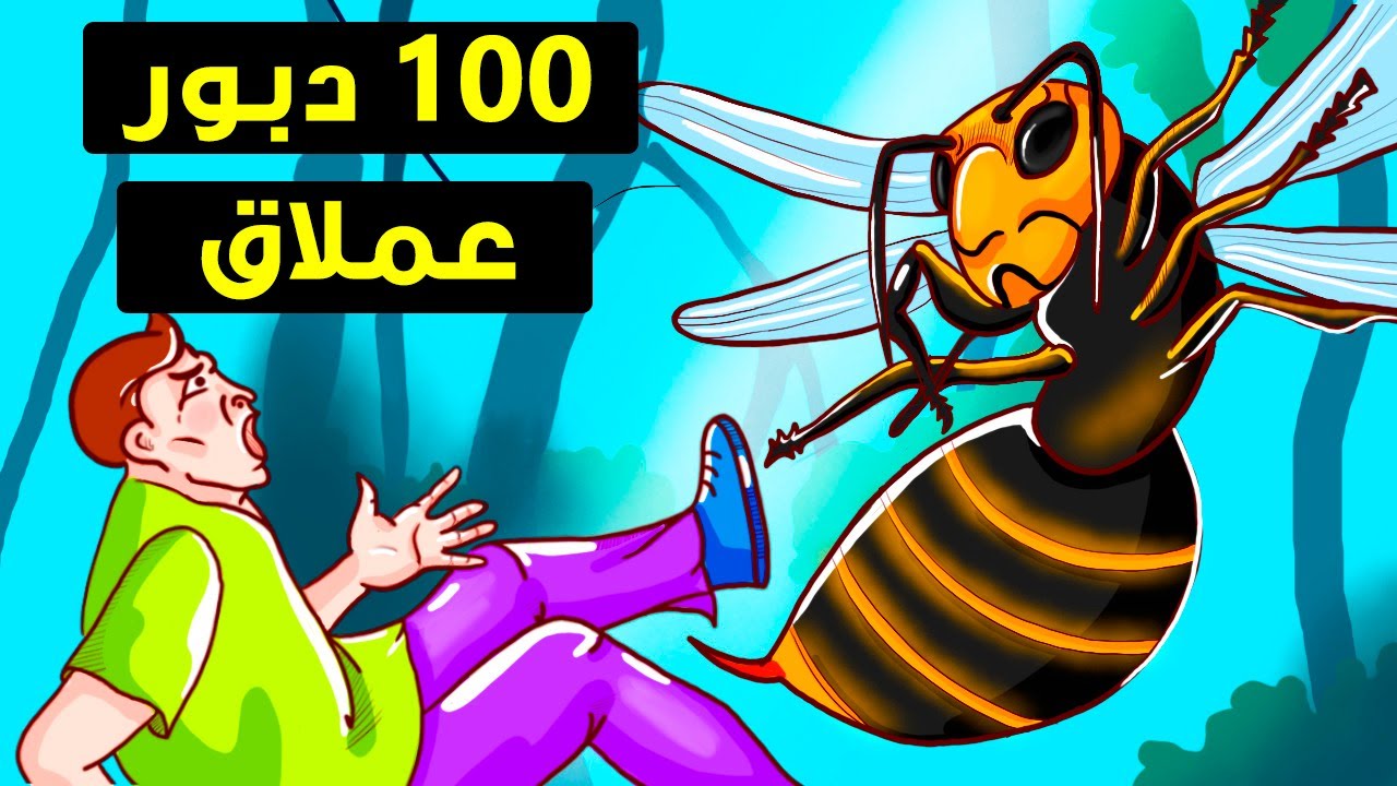 ماذا سيحدث لك لو لدغتك أكبر الدبابير 100 مرة