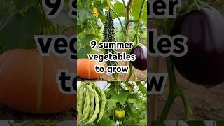 Top 9 Summer Vegetables To Grow