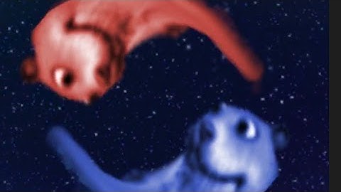 How To Unlock The OPPOSITE WORLD In Roblox Find The Chomiks