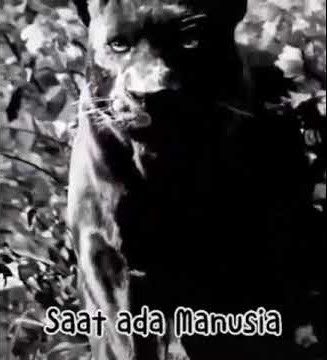 kata kata sunda wejangan macan tutul