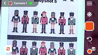 Countryrimfire Nutcracker Challenge, Budget Rifle Entry