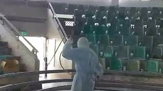 嘉市肉品市場7日預定拍賣1500頭豬　比先前多400多頭