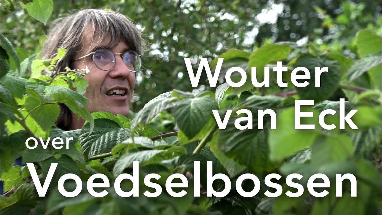 Wouter van Eck over Voedselbossen - YouTube