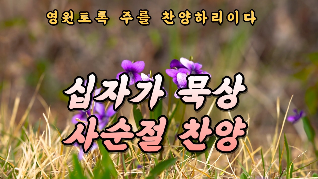 사순절 찬양 모음 | 회개와 은혜로 드리는 기도 찬양