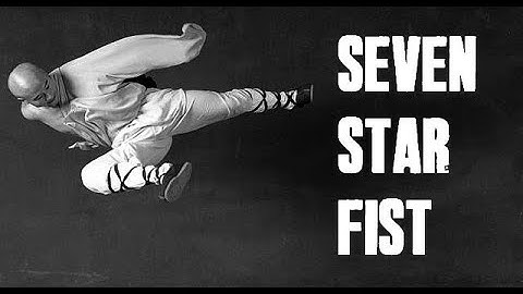 SHAOLIN SEVEN STAR FIST (PART 2) TUTORIAL BY SHI DEJUN