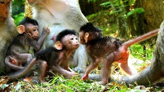 Never seen and unbelievable too baby Jayden leave mom to talk &  Kiss baby Dax first time,