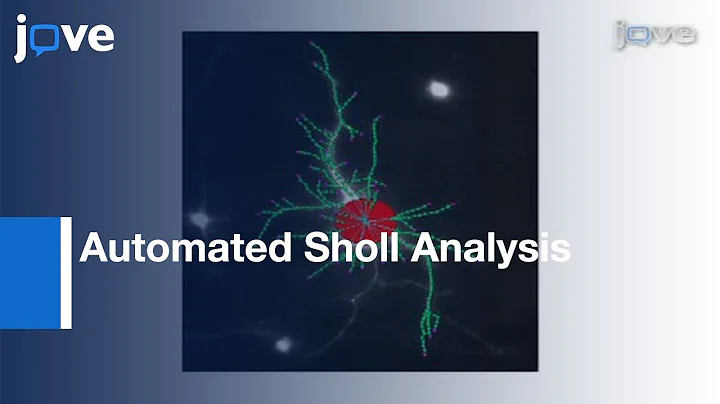Automated Sholl Analysis Of Digitized Neuronal Mor...