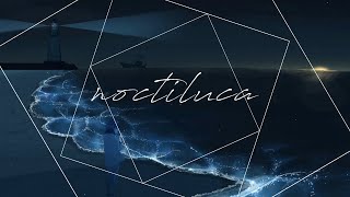 noctiluca