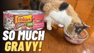 Reviewing Purina Friskies Extra Gravy Salmon Pate
