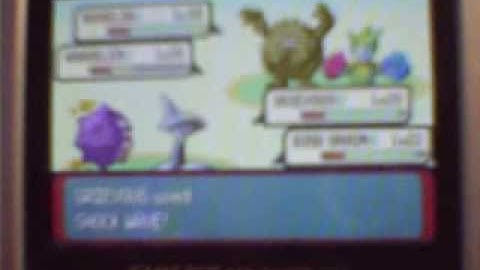 Pokemon Emerald Walkthrough Part 23: We
