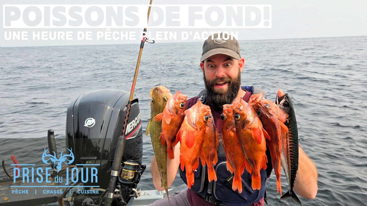 Pêche aux poissons de fond, Sébaste, Morue à Baie-Comeau