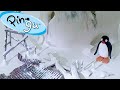 Pingu Helps Clear the Snow 🐧 | Pingu - Official Channel | Cartoons For Kids