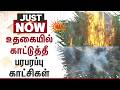 Ooty | Wildfire | பரபரப்பு காட்சிகள் | Fire Department | Sun News