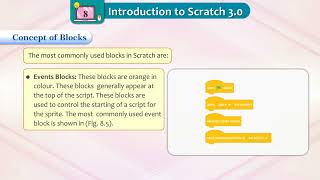 Celebrity Introduction to Scratch 3.0 - Kaizen Pro Class 3 Net Worth