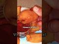 Tastiest Deep-fried Food Ever! #fried #breakfast #cooking