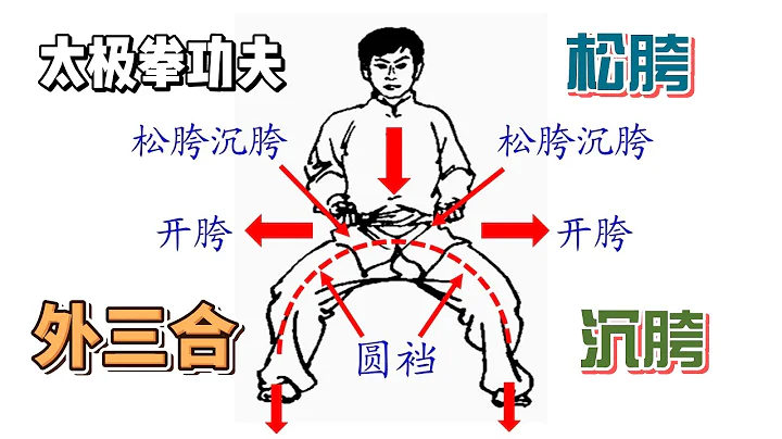 [太极拳] 太极拳 松胯与外三合 Taijiquan: Loose Hip and External Three Harmonies - 天天要闻