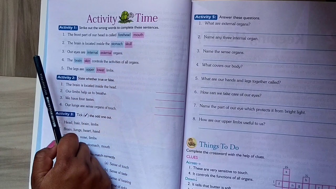 class 3 evs chapter 1 our body activity time youtube