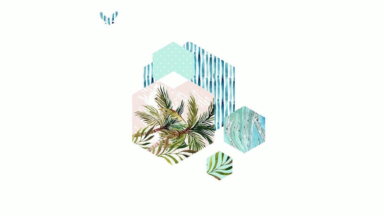 cactus flower - flora