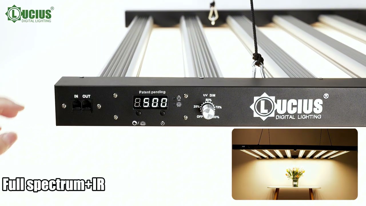 1000w Double Black LED Grow Light with UV&IR