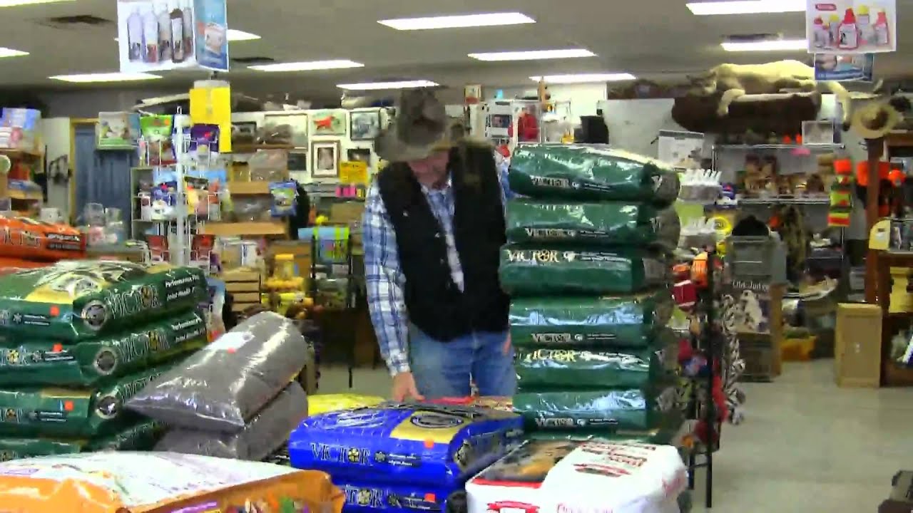 Grain free dog food ! videos YouTube