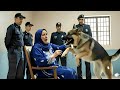 ضابط شرطة أطلق كلبه الشرس على عجوز فقيرة ليسرق أرضها ولكن ما فعله الكلب أذهل الضابط نفسه قصص سعودية 