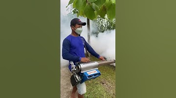 Thumbnail of Pemuda Dsn Soko Ngrandu Kauman Melakukan Fogging Nyamuk #foggingnyamuk #shorts #shortsvideo