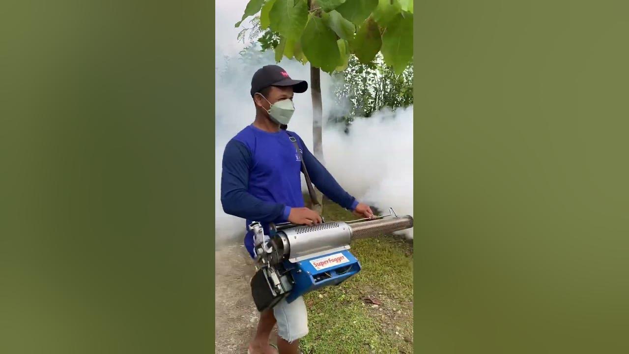Pemuda Dsn Soko Ngrandu Kauman Melakukan Fogging Nyamuk #foggingnyamuk #shorts #shortsvideo