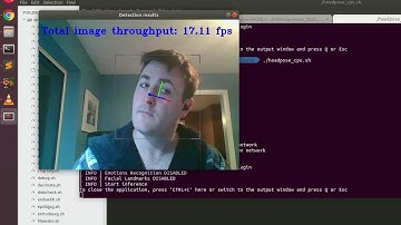 Openvino Head pose estimation demo