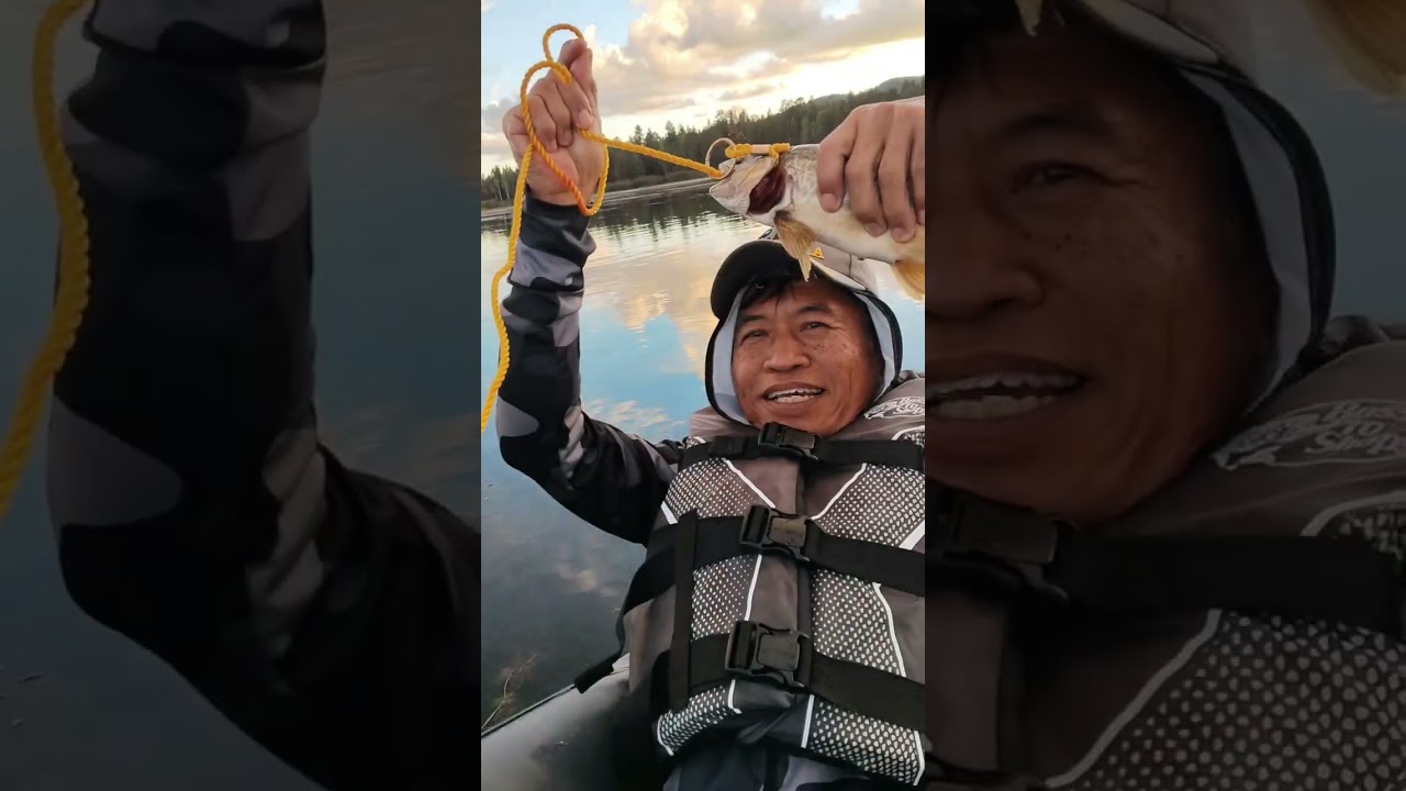 19 กุมภาพันธ์ ค.ศ. 2026