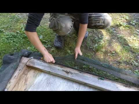 Spyderco Native 5 LW in SPY27 cutting terf (and my friend tripping at the end