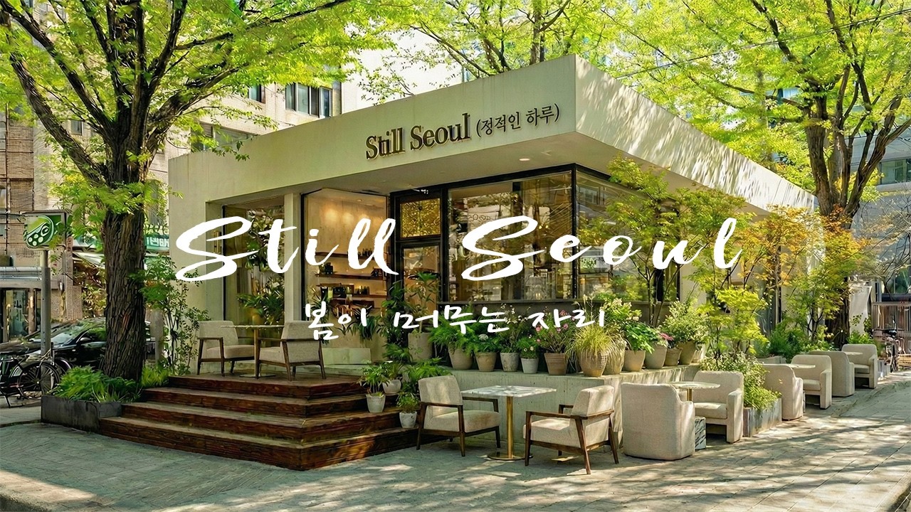 [Playlist] 햇살 속 봄 카페 재즈 🌿 천천히 스며드는 멜로디 | Spring Jazz | 위한 BGM