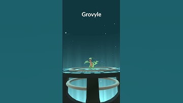 Omg😲 100iv Treecko spawn in wild | Evolution of treecko