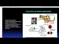 Parasitologia toxoplasmosis y toxocarosis